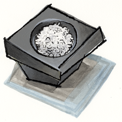 Sea Salt Bowl