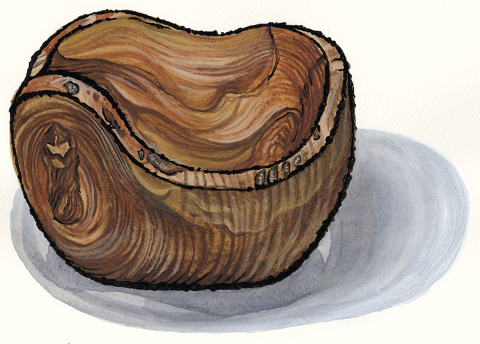 Olive Wood Bowl